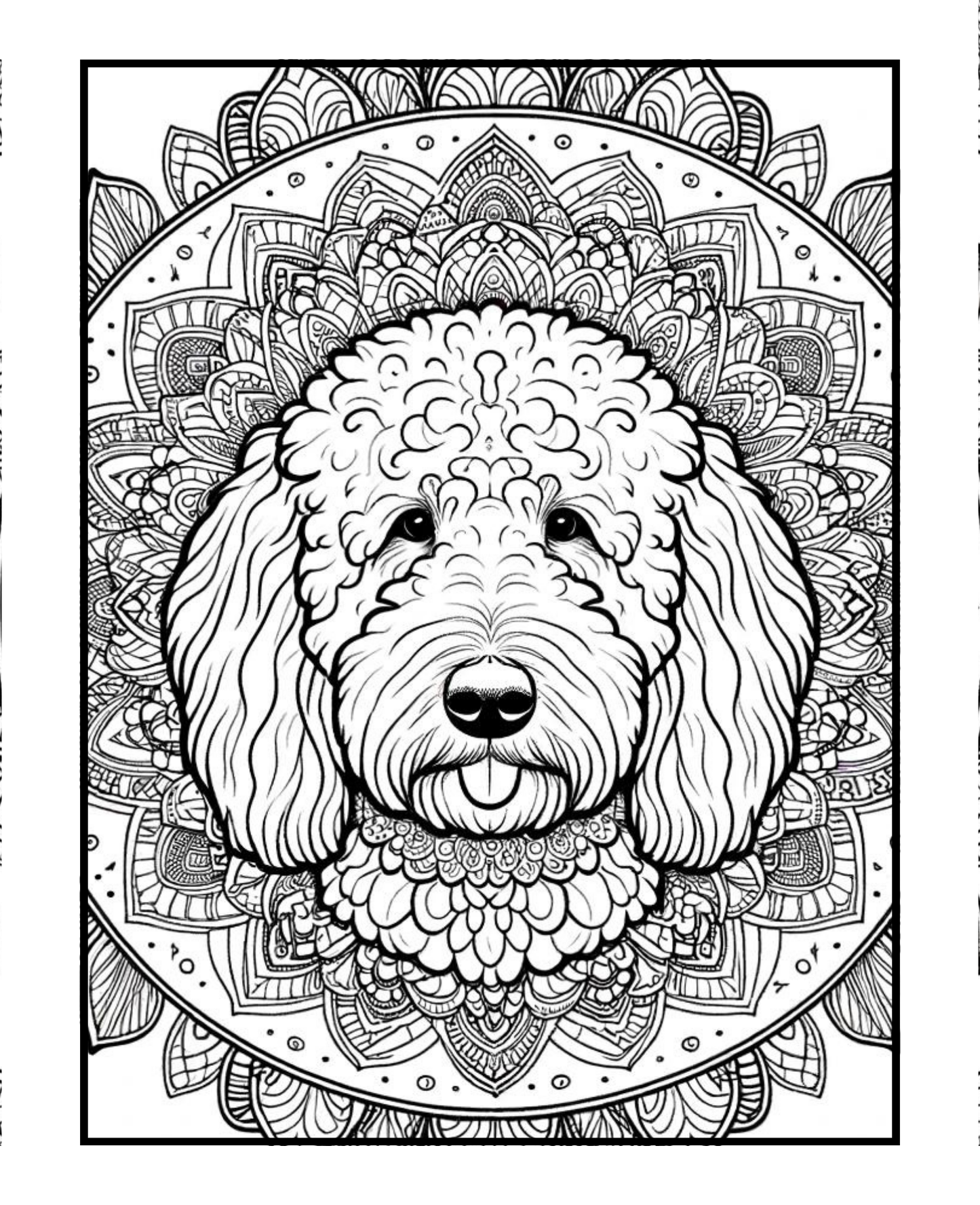 Labradoodle - Adult Coloring Book