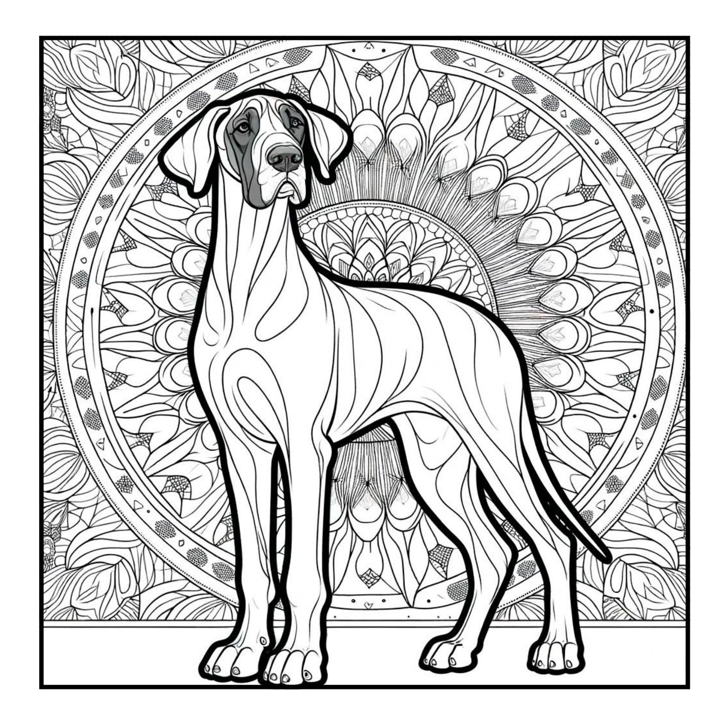 Great Dane - Adult Coloring Book