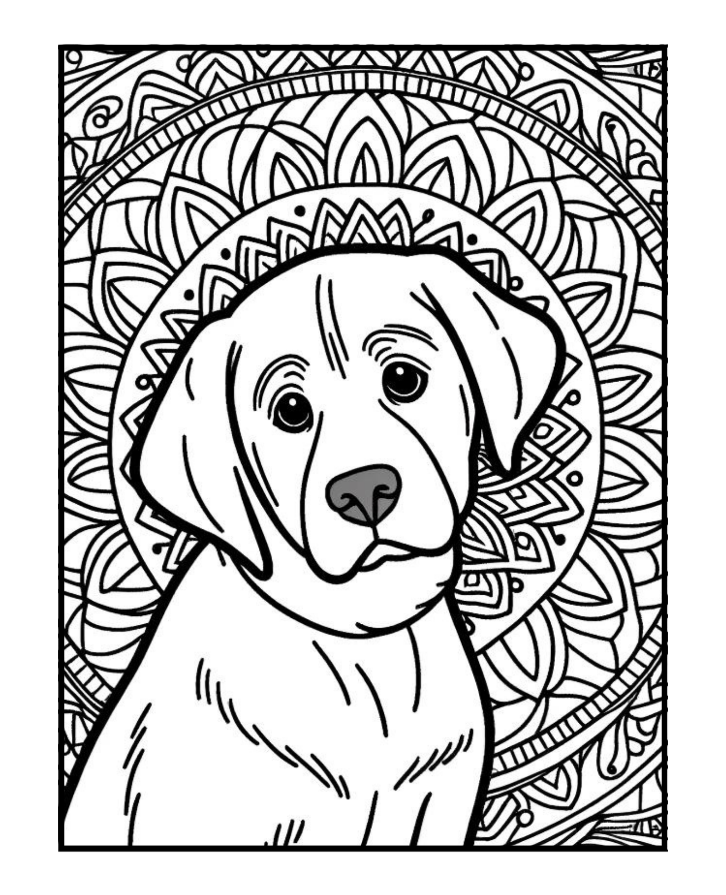 Labrador Retriever - Adult Coloring Book