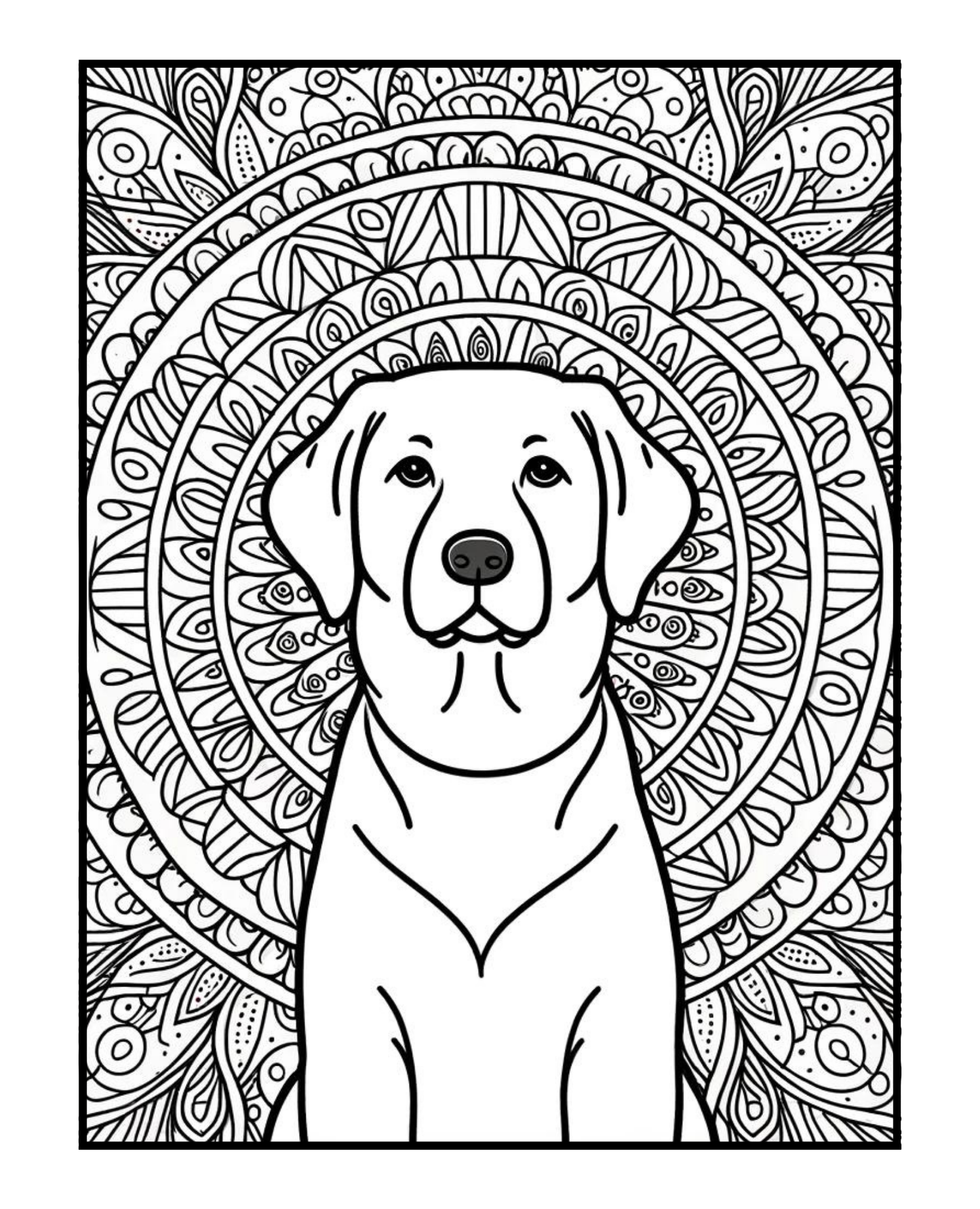 Labrador Retriever - Adult Coloring Book