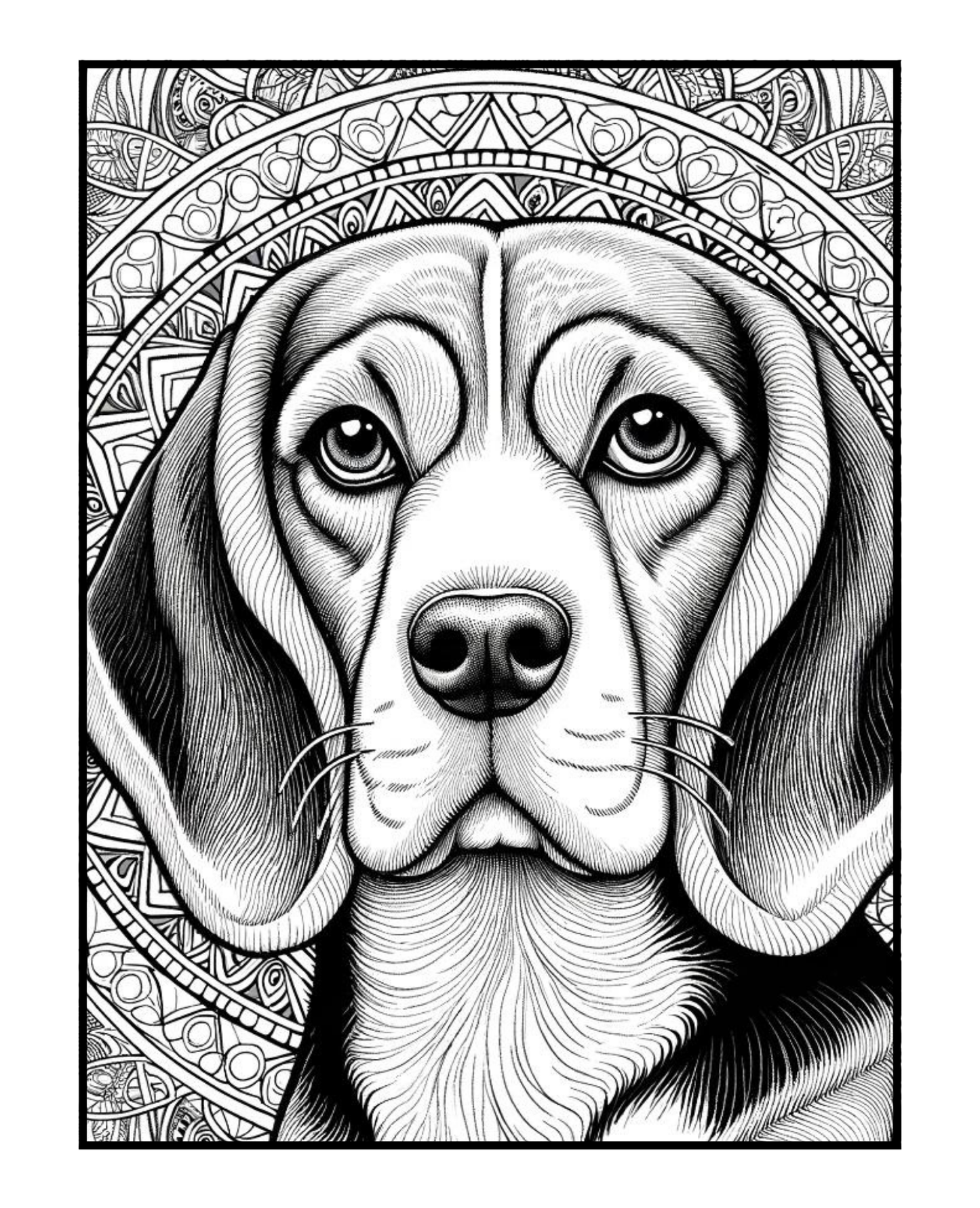 Beagle - Adult Coloring Book