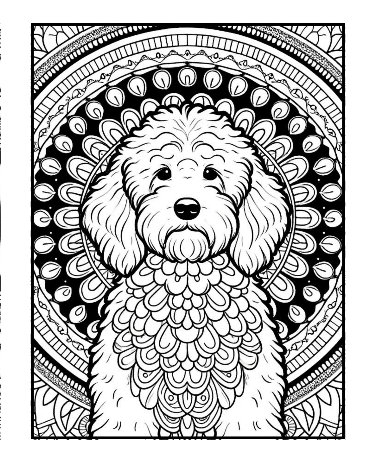 Labradoodle - Adult Coloring Book