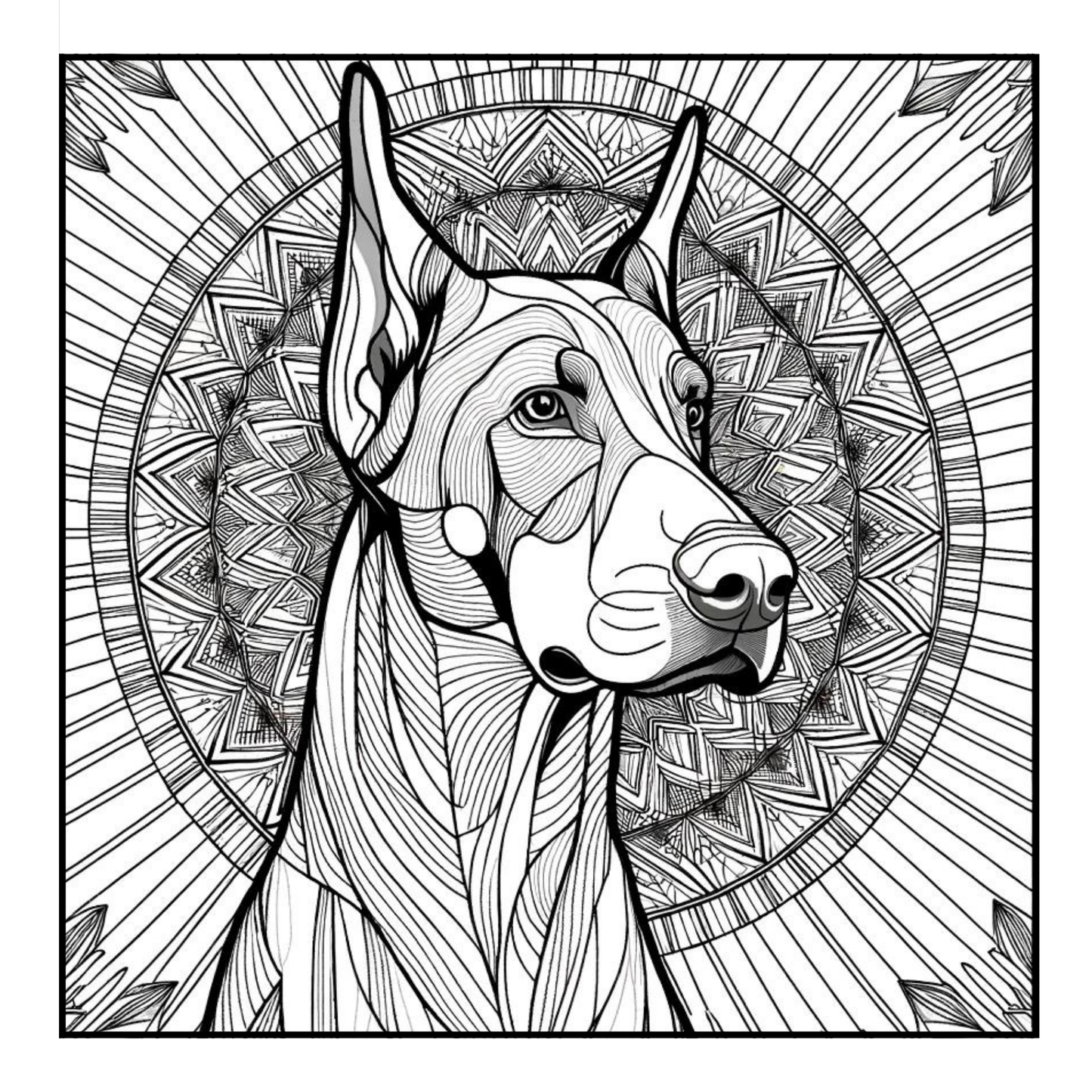 Doberman Pinscher - Adult Coloring Book