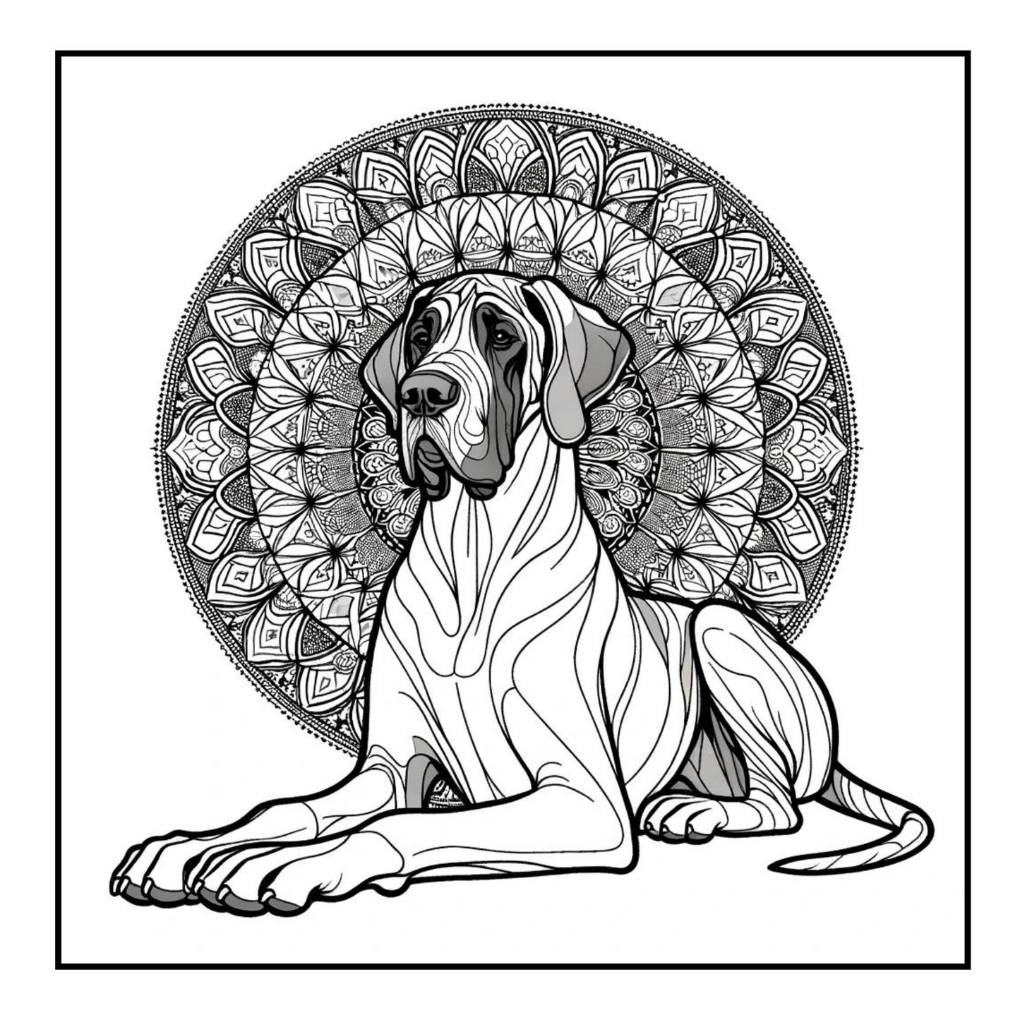 Great Dane - Adult Coloring Book