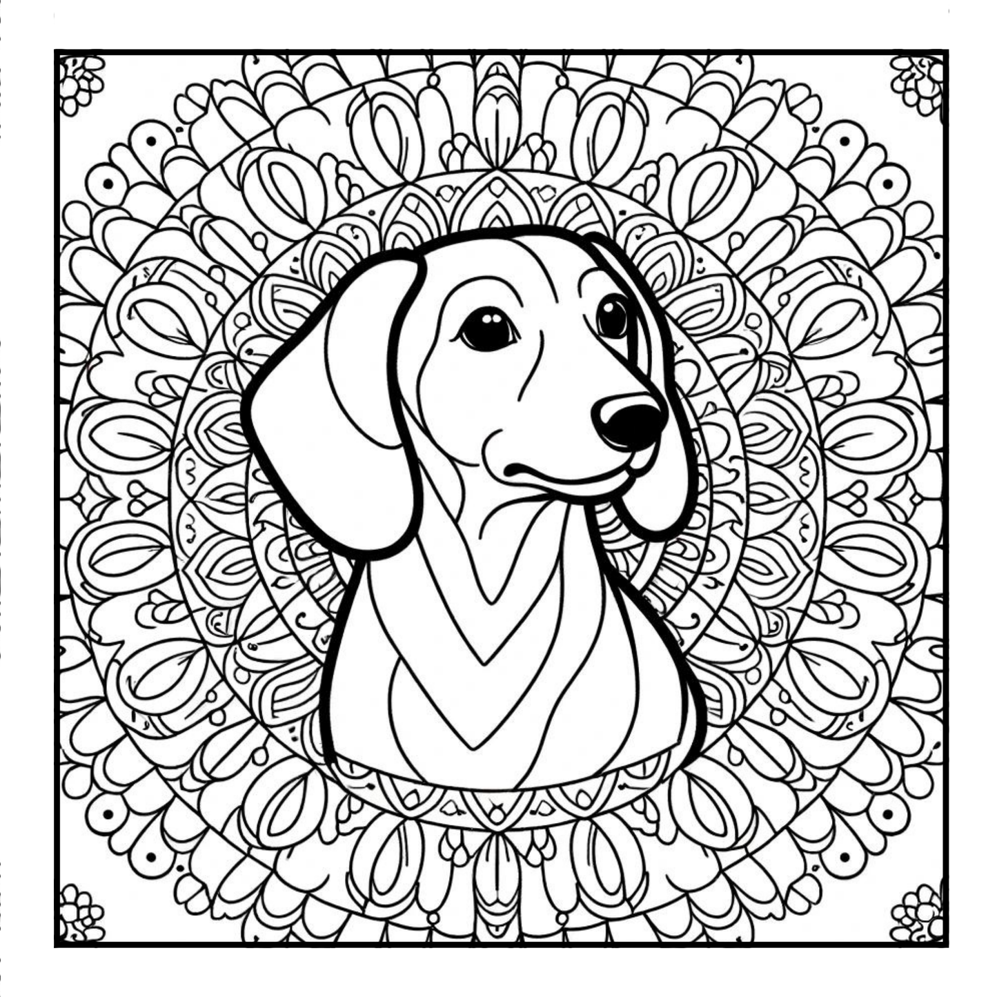 Dachshund - Mandala Adult Coloring Book