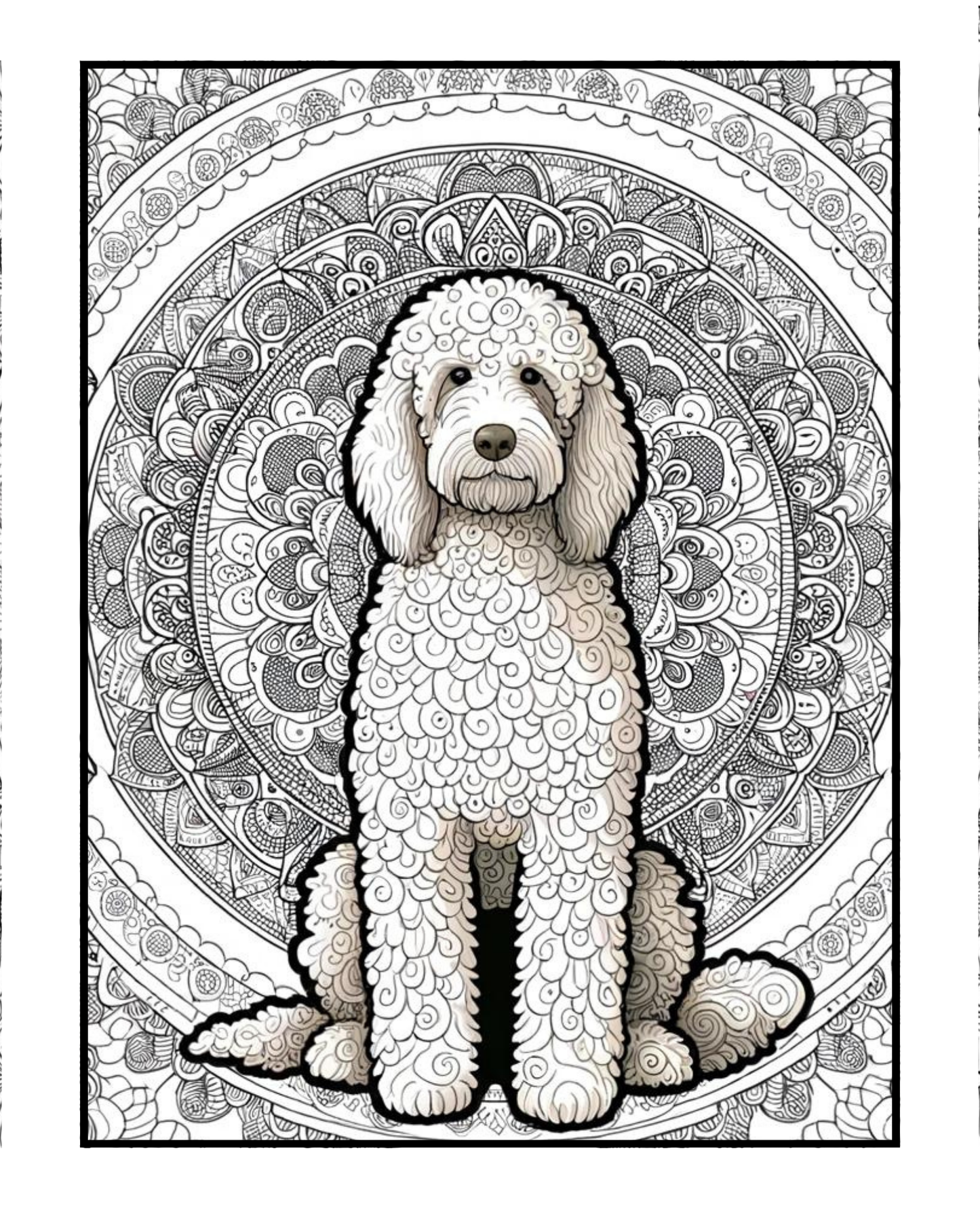 Labradoodle - Adult Coloring Book