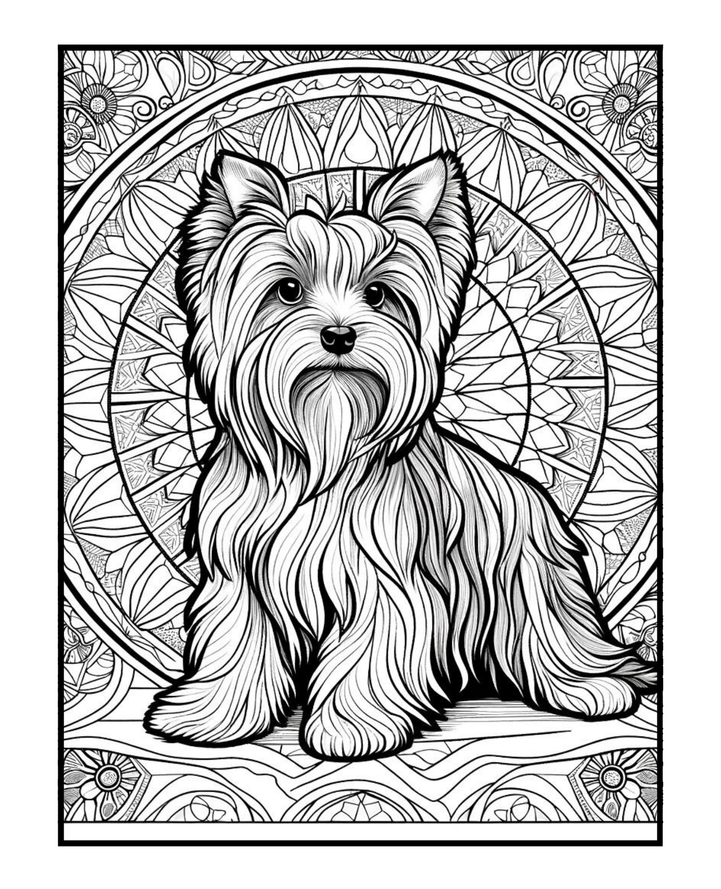 Yorkshire Terrier - Adult Coloring Book