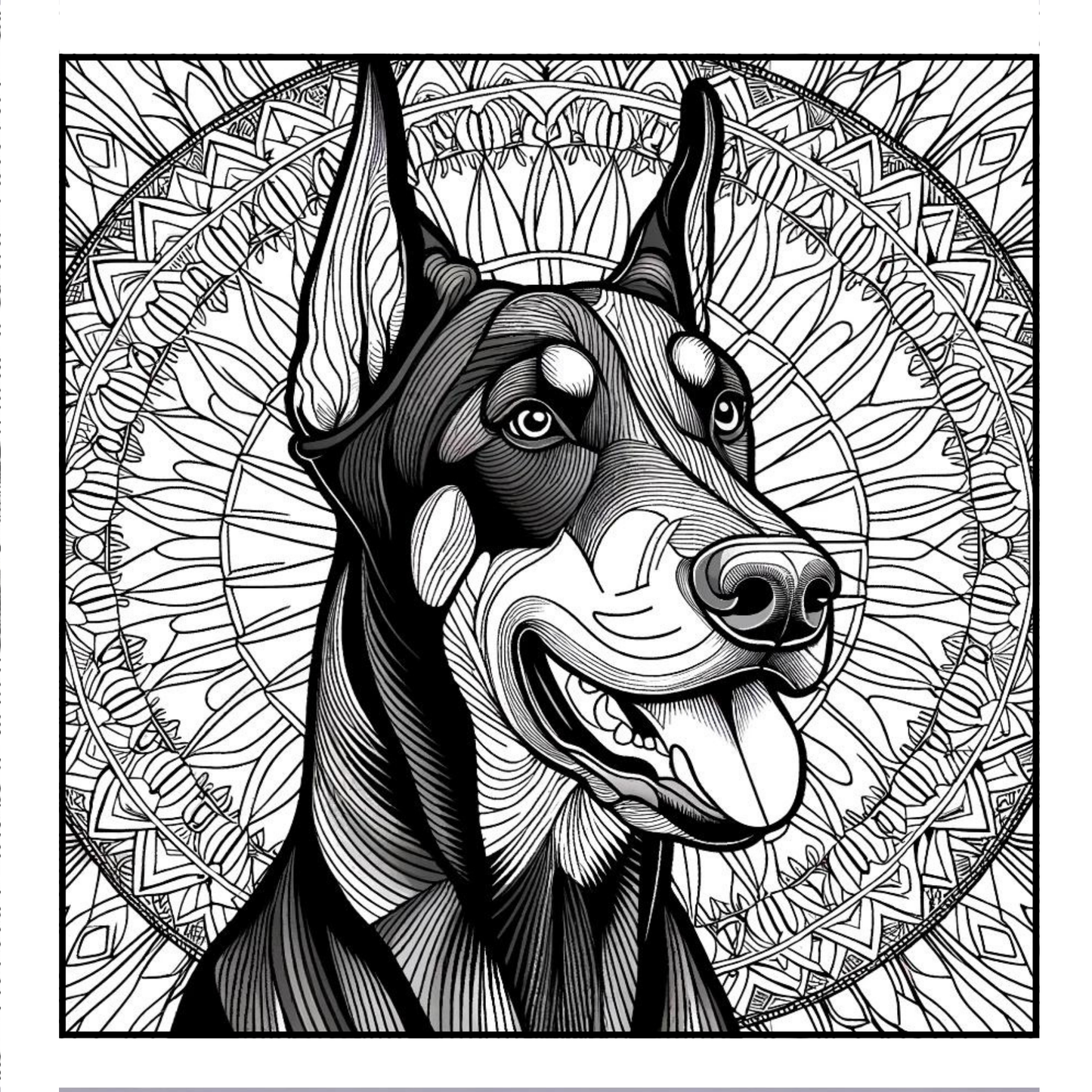 Doberman Pinscher - Adult Coloring Book