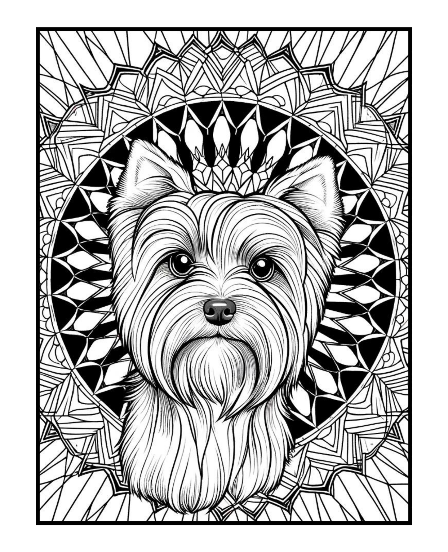 Yorkshire Terrier - Adult Coloring Book
