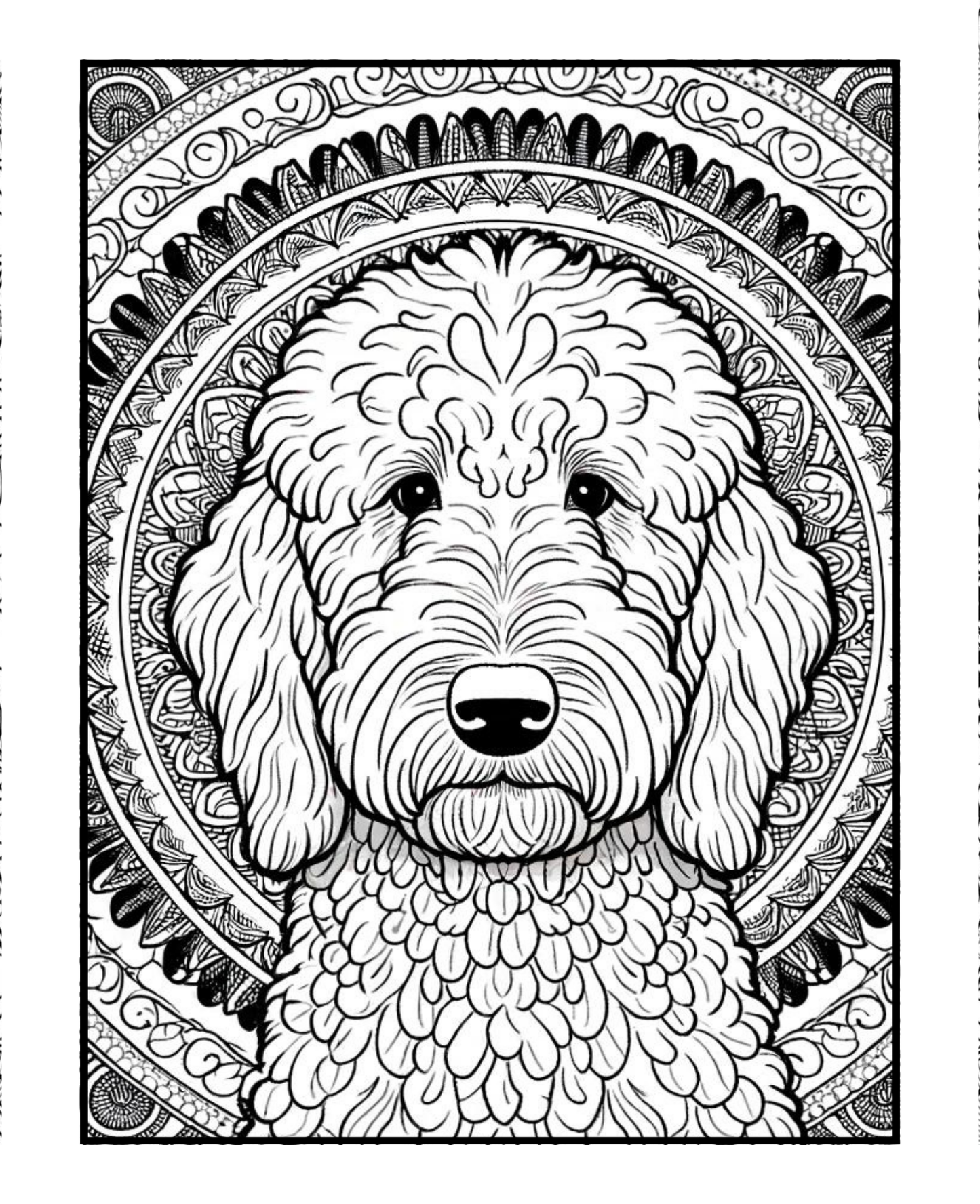 Labradoodle - Adult Coloring Book