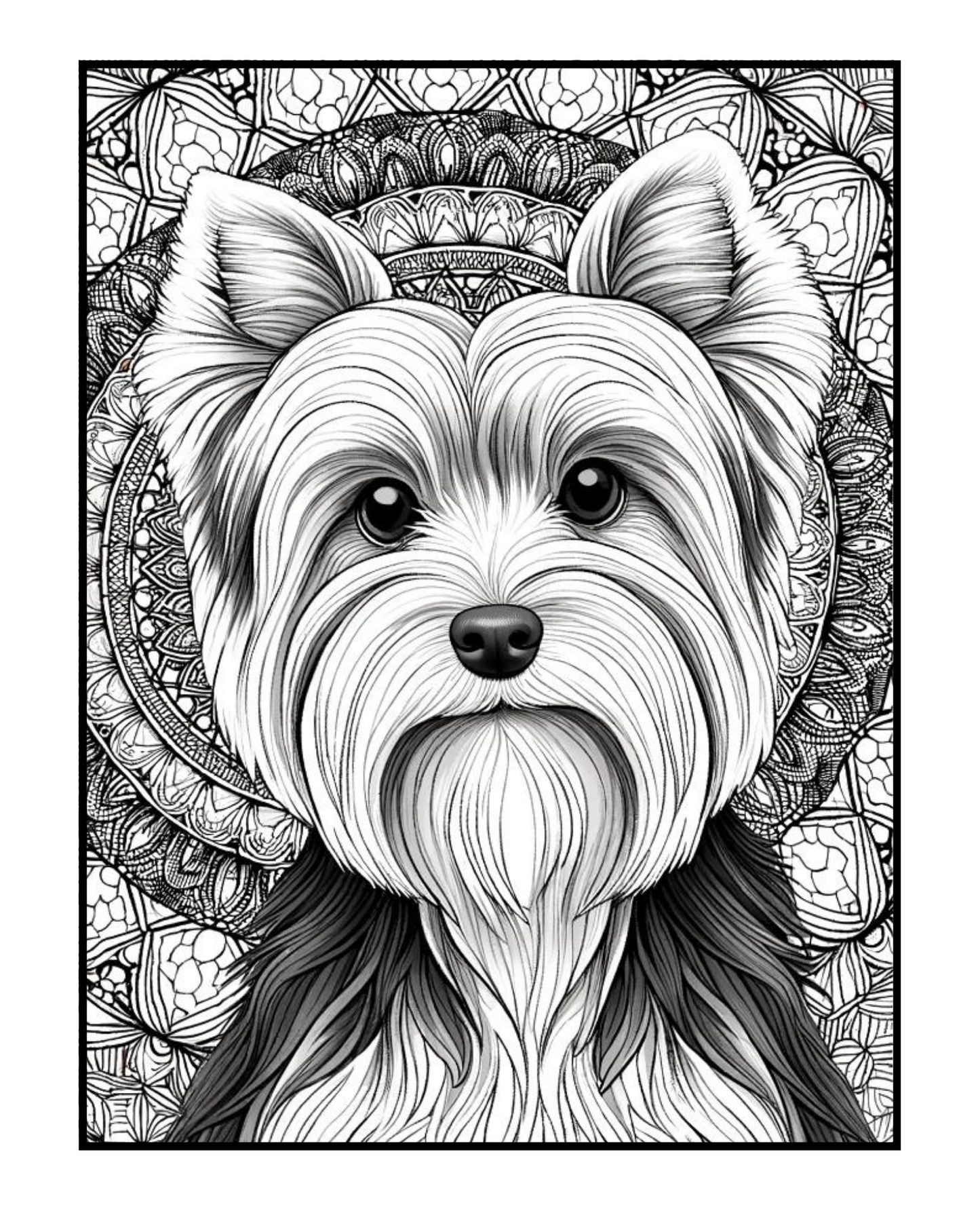 Yorkshire Terrier - Adult Coloring Book