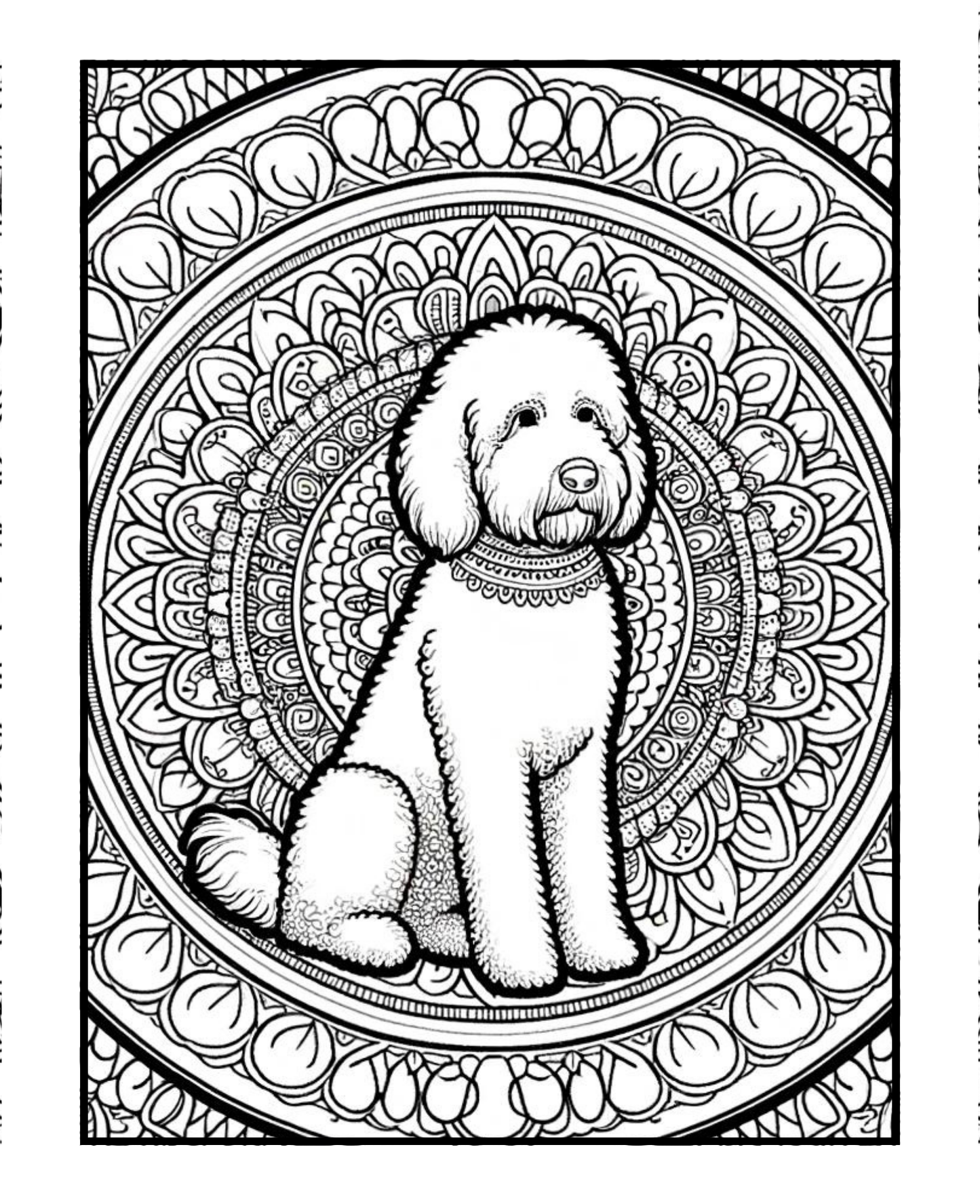 Labradoodle - Adult Coloring Book